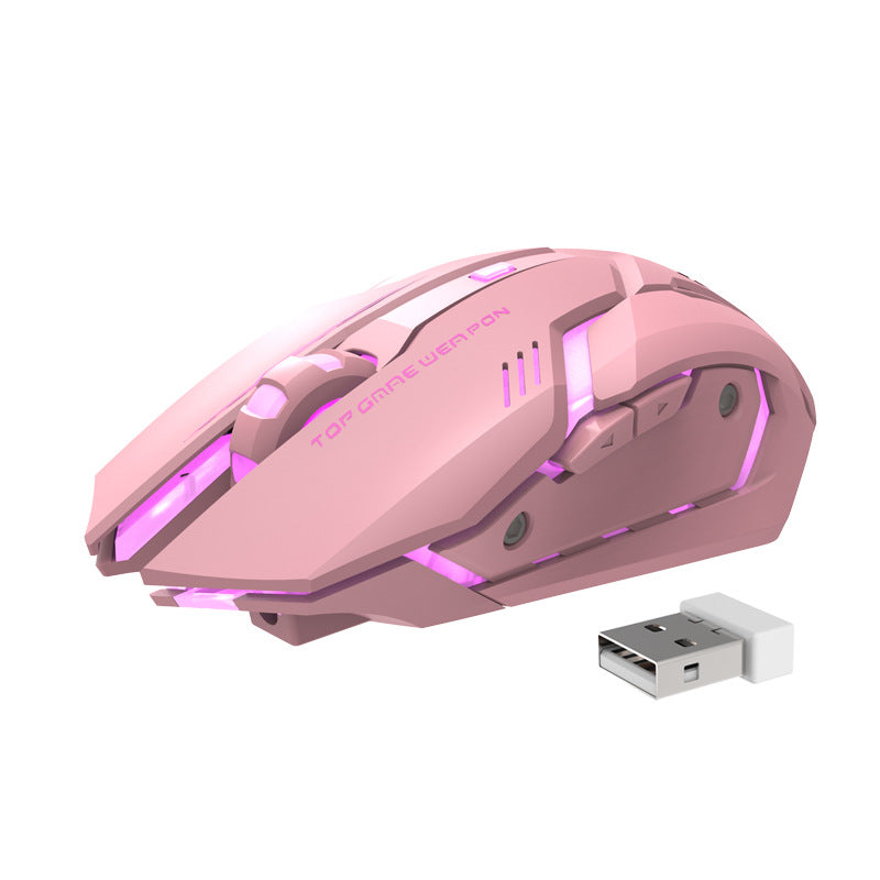 Wireless Silent Ergonomic Gaming Mouse | 2.4GHz, 1600 DPI, 6 Button, USB | HOORIVA