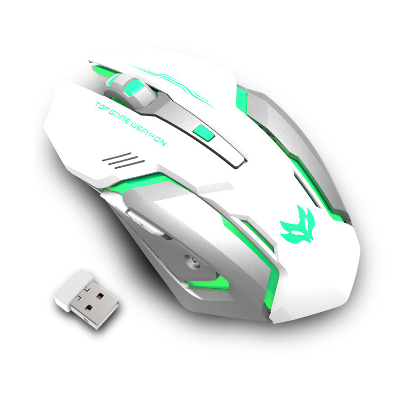 Wireless Silent Ergonomic Gaming Mouse | 2.4GHz, 1600 DPI, 6 Button, USB | HOORIVA