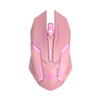 Wireless Silent Ergonomic Gaming Mouse | 2.4GHz, 1600 DPI, 6 Button, USB | HOORIVA
