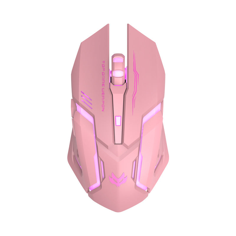 Wireless Silent Ergonomic Gaming Mouse | 2.4GHz, 1600 DPI, 6 Button, USB | HOORIVA