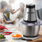 500W Two-Speed Stainless Steel Meat Grinder
