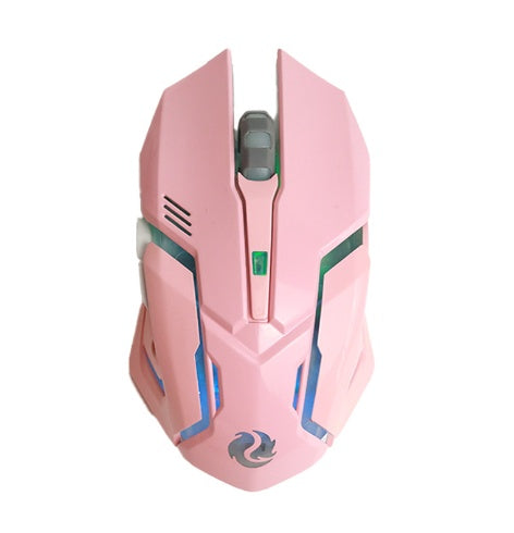 Wireless Silent Ergonomic Gaming Mouse | 2.4GHz, 1600 DPI, 6 Button, USB | HOORIVA