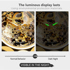 Men's Retro Luxury Automatic Mechanical Watch | Luminous Business Wristwatch GMT12392