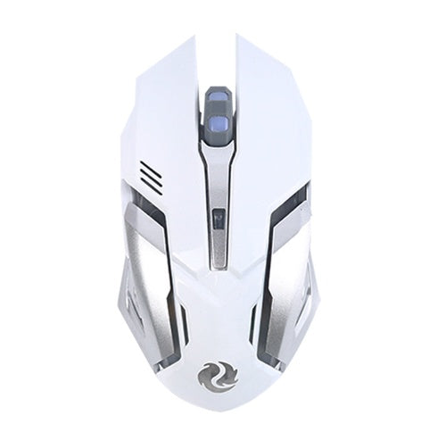 Wireless Silent Ergonomic Gaming Mouse | 2.4GHz, 1600 DPI, 6 Button, USB | HOORIVA