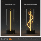 Adsorption States