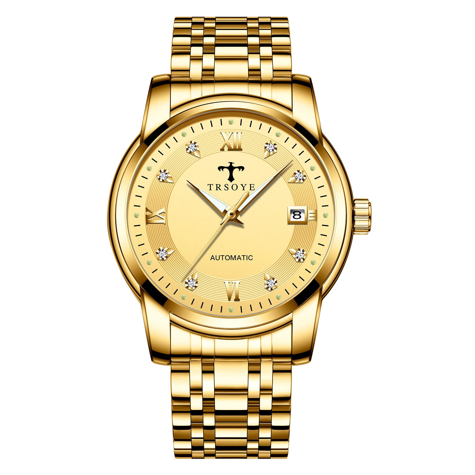 Men's Automatic Mechanical Watch | Luminous, 30m Waterproof, Transparent Case Back | HOORIVA