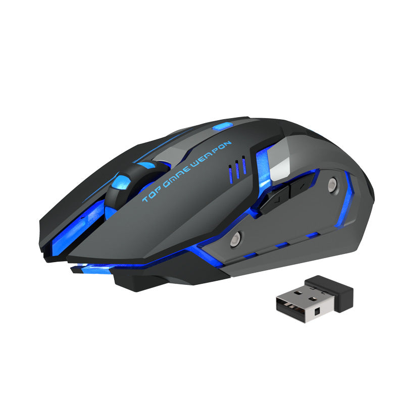 Wireless Silent Ergonomic Gaming Mouse | 2.4GHz, 1600 DPI, 6 Button, USB | HOORIVA