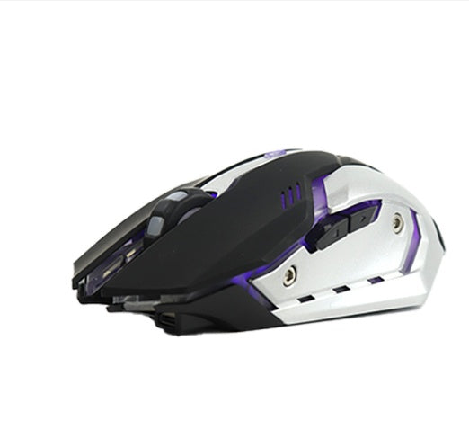 Wireless Silent Ergonomic Gaming Mouse | 2.4GHz, 1600 DPI, 6 Button, USB | HOORIVA