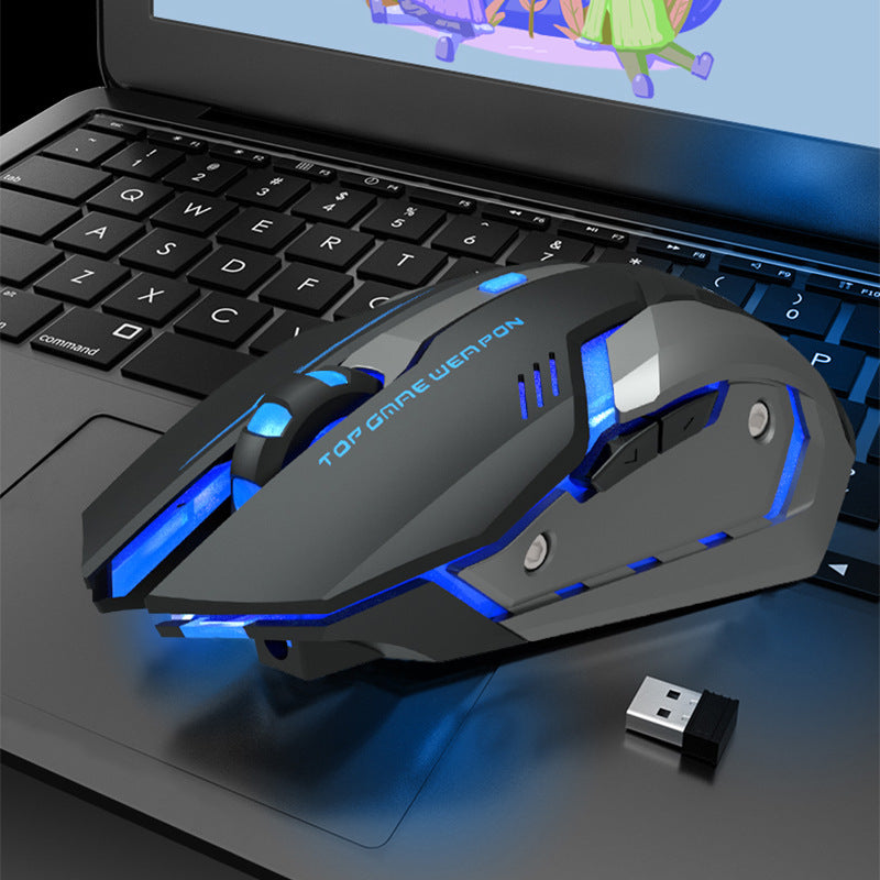 Wireless Silent Ergonomic Gaming Mouse | 2.4GHz, 1600 DPI, 6 Button, USB | HOORIVA