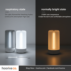 Lighting Modes